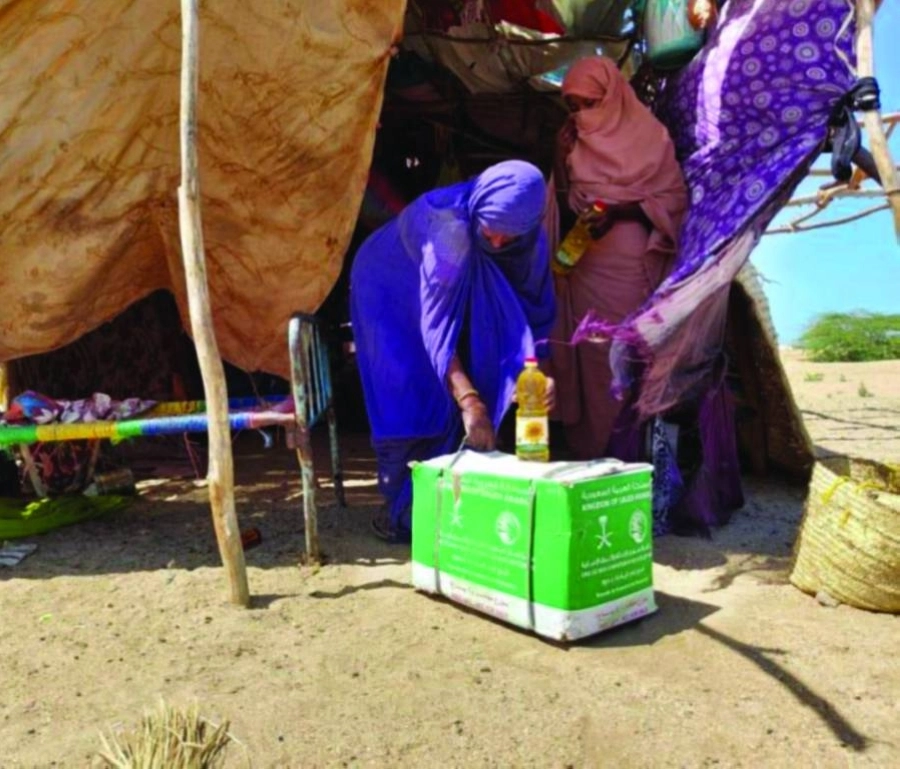 






سودانيات يحصلن على السلال