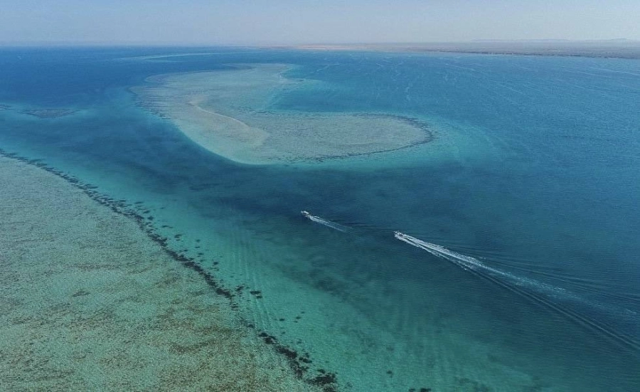 المملكة تشارك في الاحتفال بـ "اليوم العالمي للأرض" (واس)