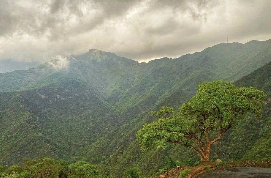 المملكة تشارك في الاحتفال بـ "اليوم العالمي للأرض" (واس)