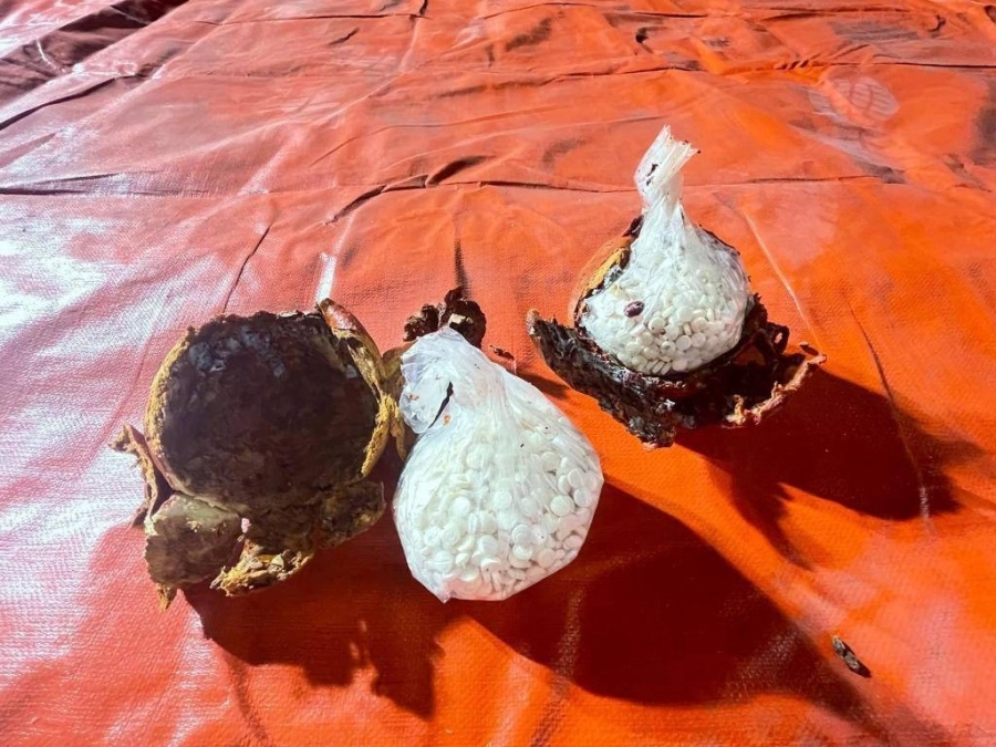 أقراص إمفيتامين