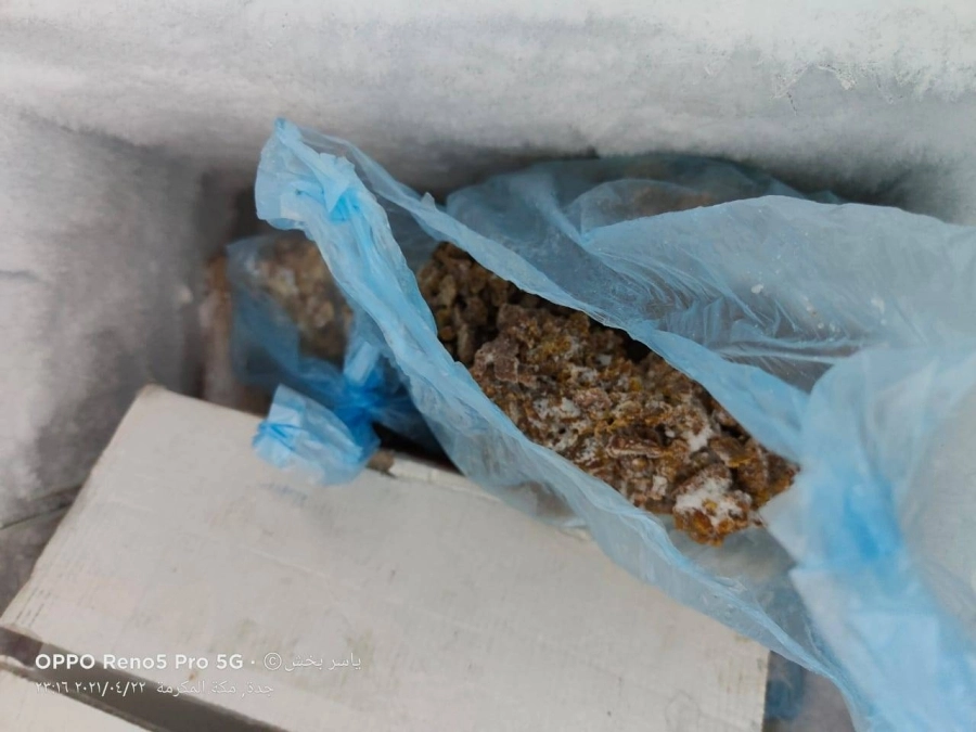 مصادرة المواد الغذائية