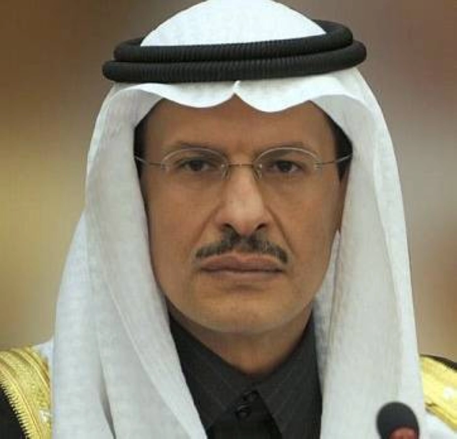 وزير الطاقة 