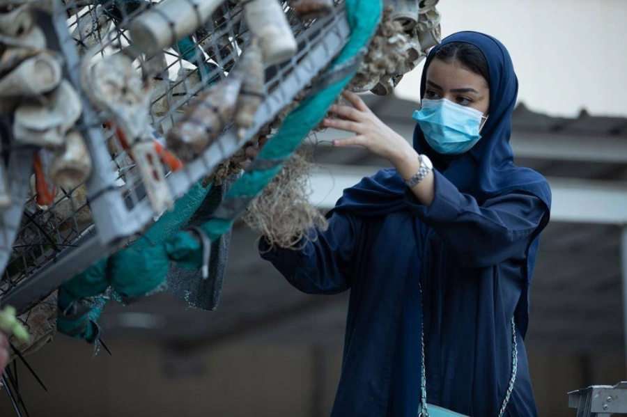 






طالبة تشارك في تحويل مخلفات البحر الأحمر إلى مجسمات جمالية                      (مكة)