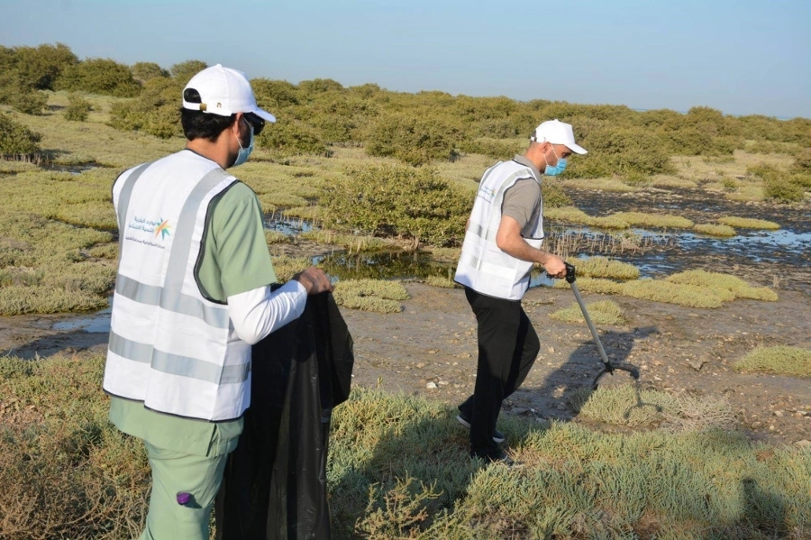 






من عملية تنظيف الغابات                                                                  (مكة)