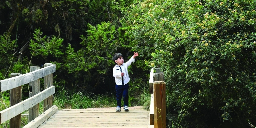 أطفال يستمتعون بجمال الطبيعة واعتدال درجات الحرارة من قمة جبل «السودة» بعسير، والذي يبعد عن أبها 20 كلم، ليشاركوا زوار المنطقة أمتع الأوقات في ظلال أشجار العرعر.
