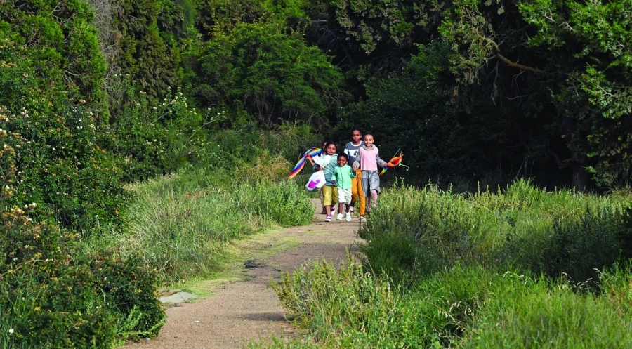 أطفال يستمتعون بجمال الطبيعة واعتدال درجات الحرارة من قمة جبل «السودة» بعسير، والذي يبعد عن أبها 20 كلم، ليشاركوا زوار المنطقة أمتع الأوقات في ظلال أشجار العرعر.
