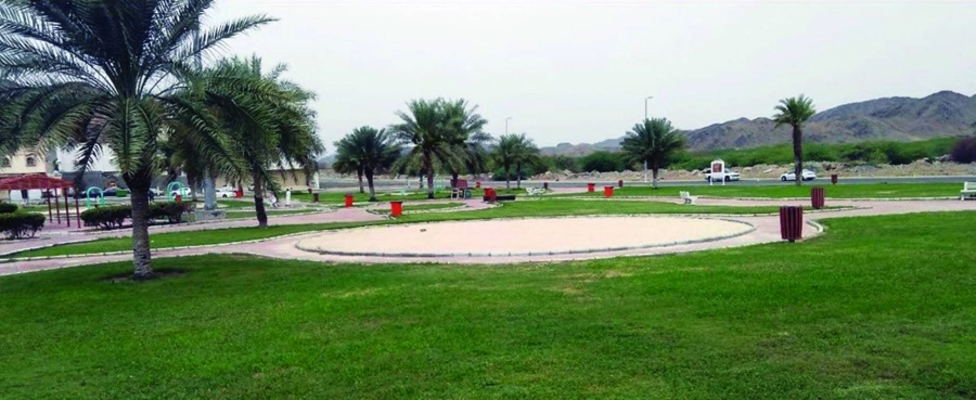 من تجهيز الحدائق                                                                                     (مكة)