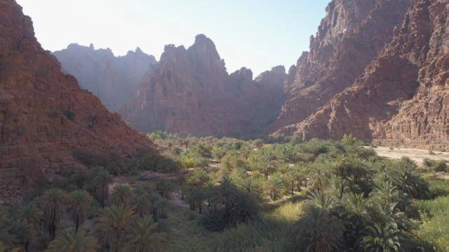 صيف السعودية