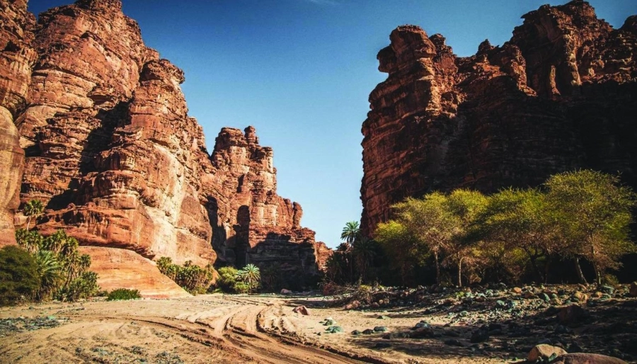 






طبيعة ساحرة في تبوك                            (مكة)