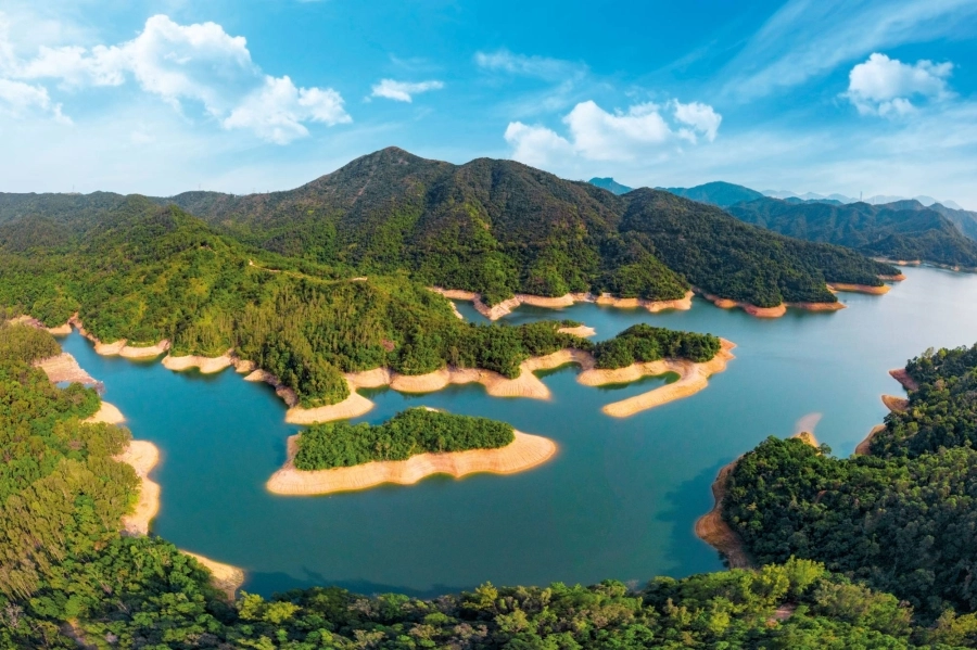 1. Hiking - Shing Mun Reservoir
