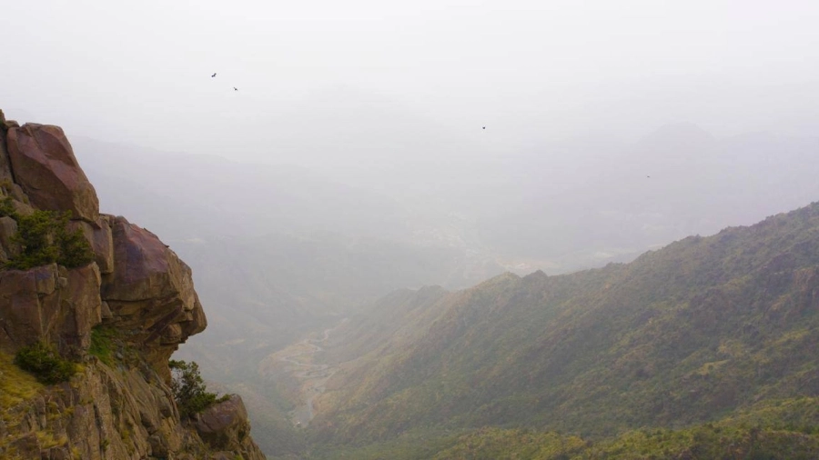 الصيف في أبها