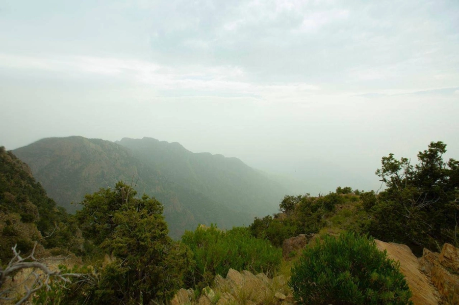 مناظر من الطبيعة في مرتفعات أبها (مكة)