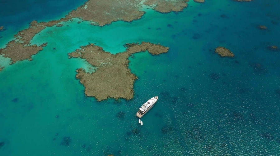 اكتشف السعودية