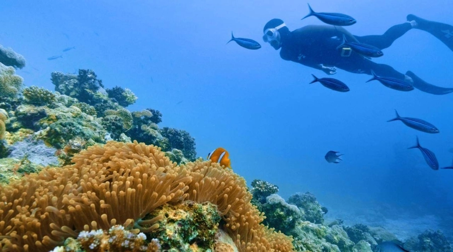 السياحة في السعودية