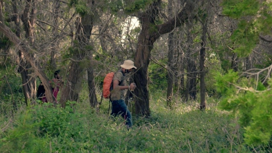 "الهايكنق" في وجهات صيف السعودية