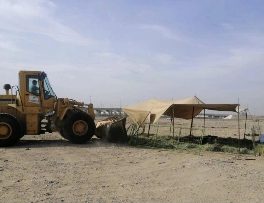 إزالة حظائر ومسالخ وتصادر 21 رأساً من الأغنام بنطاق بريمان (أمانة جدة)