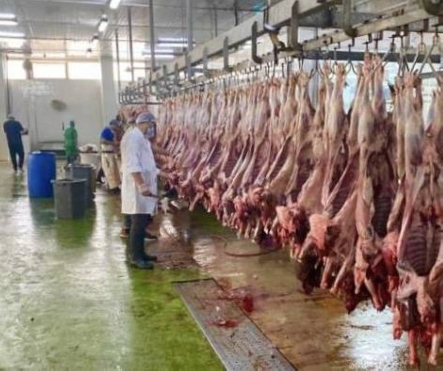 مسالخ أمانة جدة