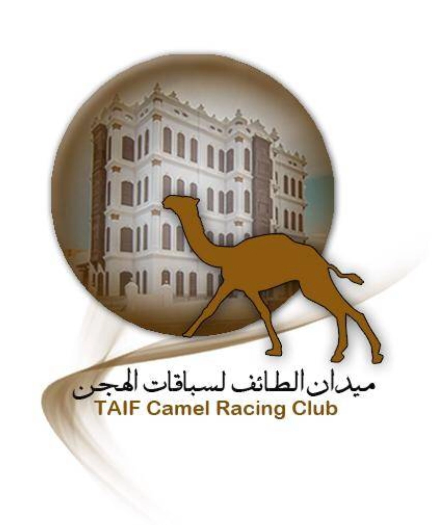 ميدان الطائف لسباقات الهجن