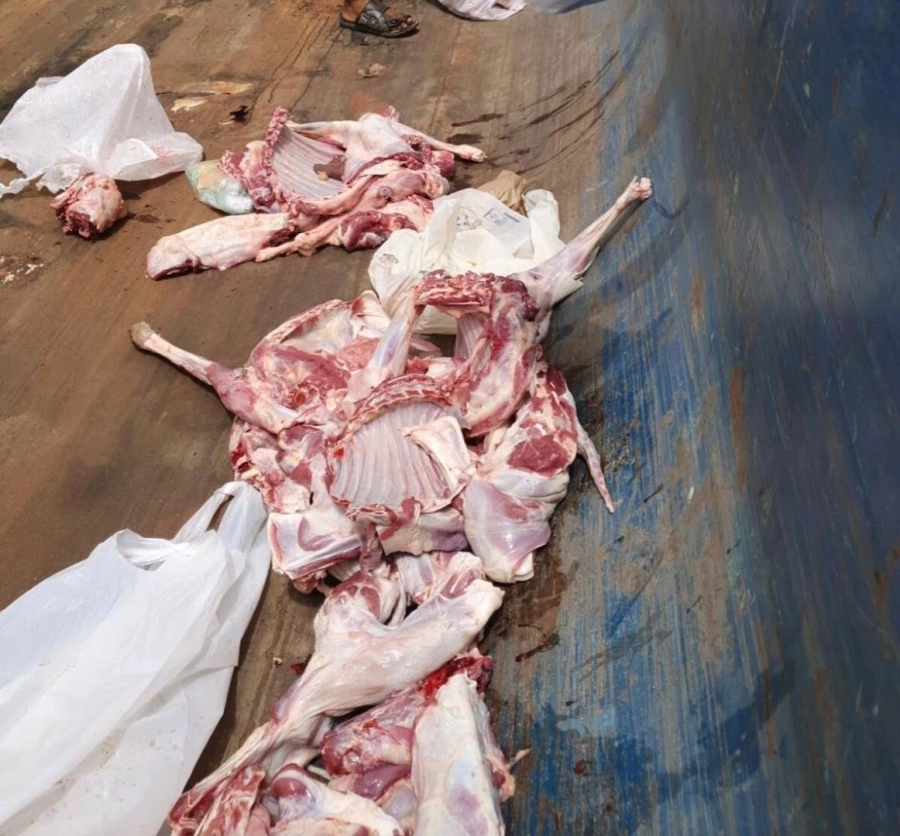 أمانة جدة تحبط تهريب 77 ذبيحة فاسدة