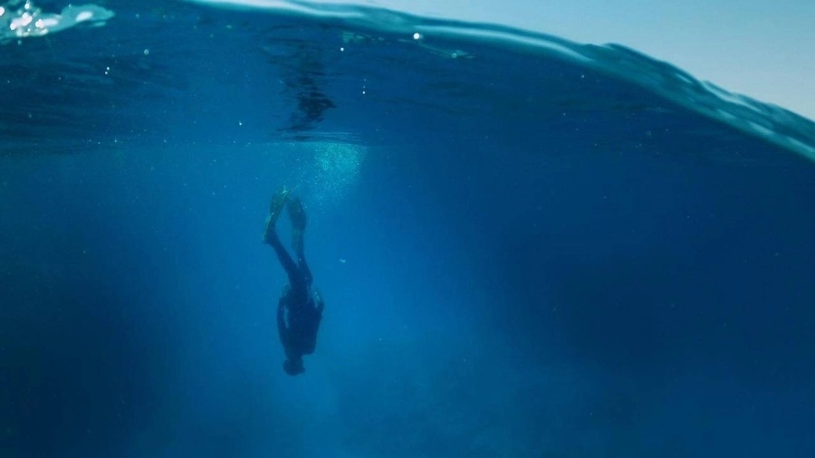 زوار عروس البحر الأحمر على موعد مع أعرق الأسواق المركزية للأسماك "البنقلة"