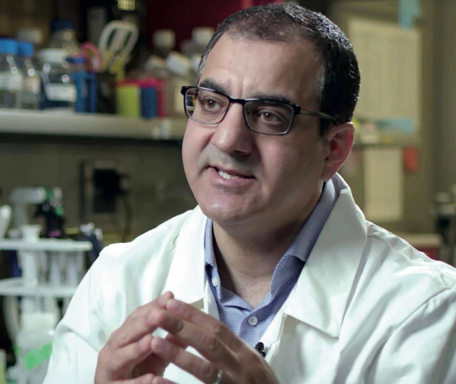 البروفيسور سمير حمدان