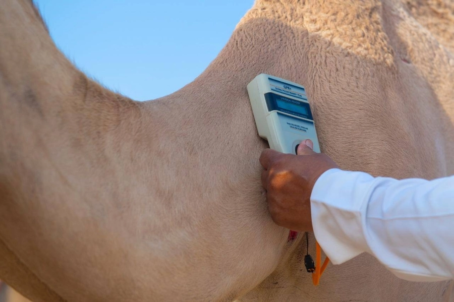 






الشريحة قبل التركيب