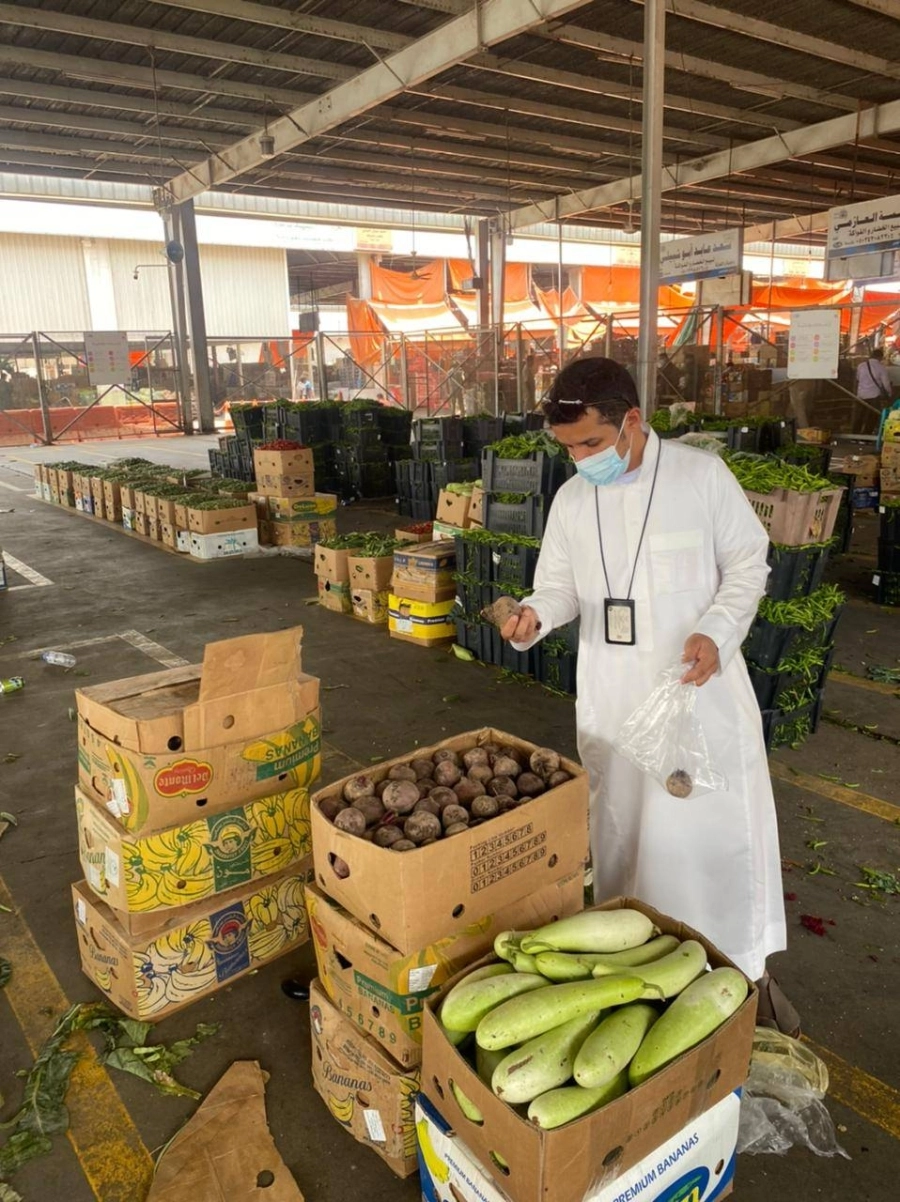 الفرق الفنية خلال أخذ عينات من الخضار (مكة) 