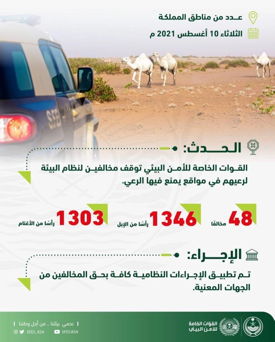 القوات الخاصة للأمن البيئي توقف 48 مخالفًا لنظام البيئة لارتكابهم مخالفات رعي