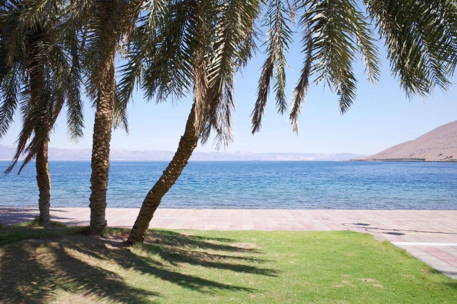 شواطئ تبوك البكر.. مقصد سياحي لمحبي الاسترخاء والهدوء في "صيف السعودية"