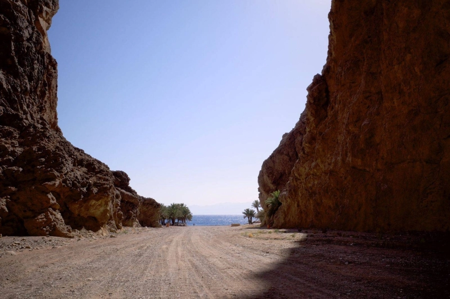 وادي العيون بتبوك