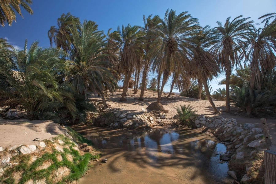 وادي العيون بتبوك