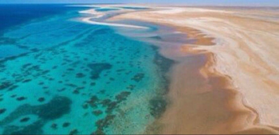 شاطئ "قيال" بتبوك