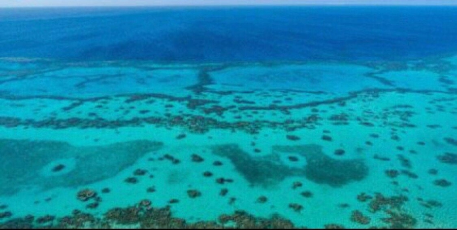 شاطئ "قيال" بتبوك