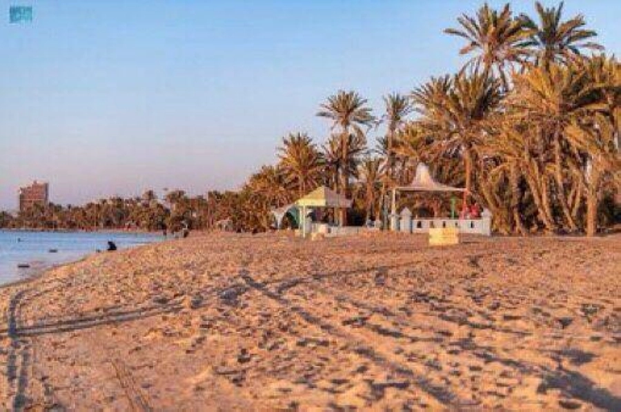 أملج.. كنز الطبيعة البحرية في "صيف السعودية"