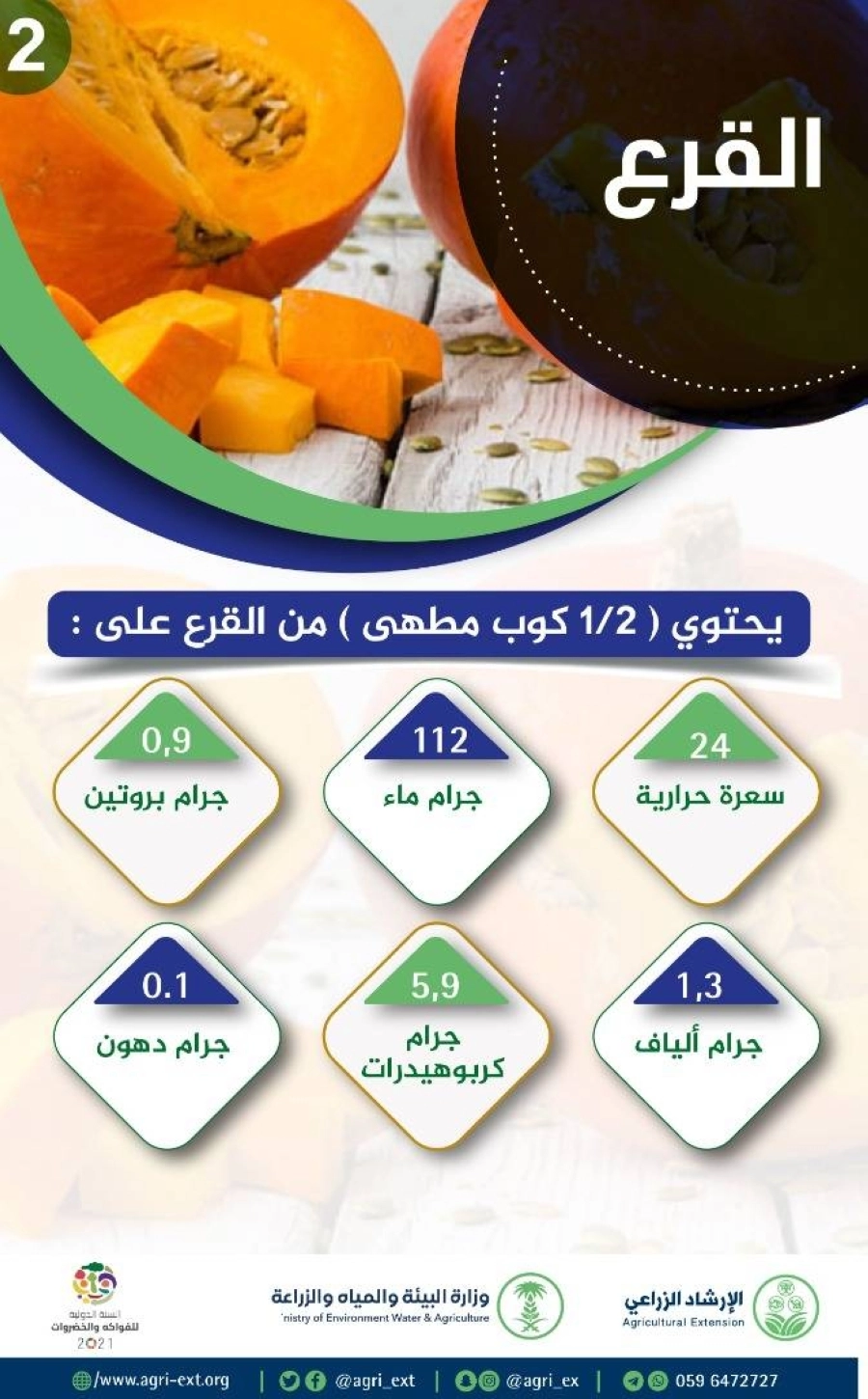 معلومات عامة عن القرع
