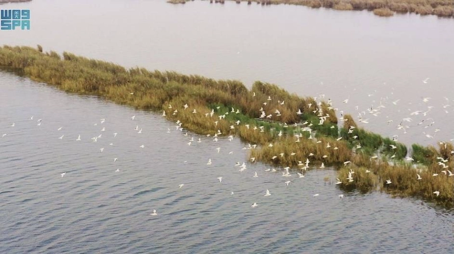 بحيرة الأصفر 