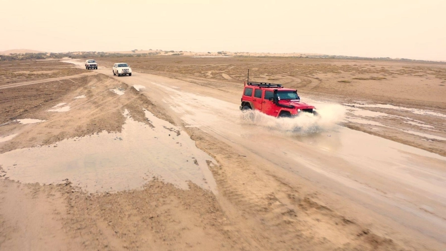 سفاري الأحساء يستهوي العائلات وعشاق المغامرة في "صيف السعودية"
