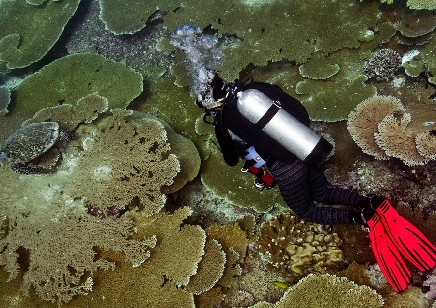 مؤسسة خالد بن سلطان للمحيطات الحية تختتم أكبر رحلة استكشافية في التاريخ