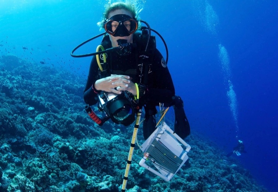 مؤسسة خالد بن سلطان للمحيطات الحية تختتم أكبر رحلة استكشافية في التاريخ