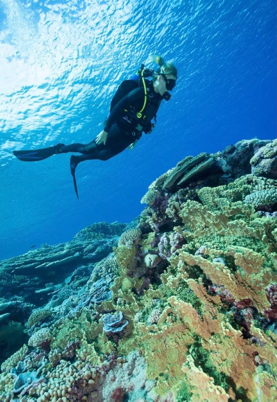 مؤسسة خالد بن سلطان للمحيطات الحية تختتم أكبر رحلة استكشافية في التاريخ