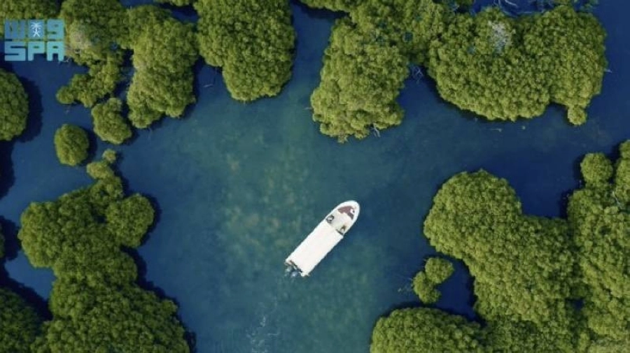 محمية فرسان