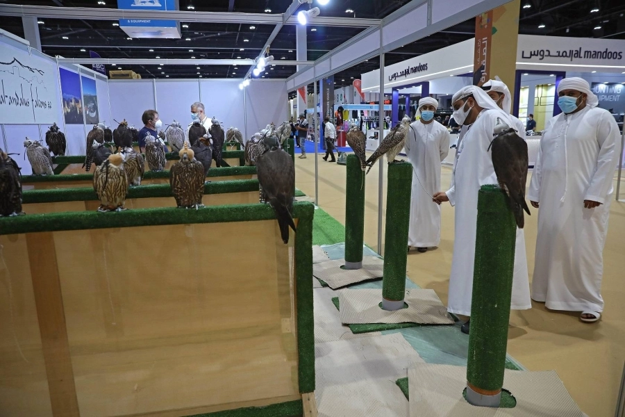 زوار يتابعون أشهر الصقور (مكة)