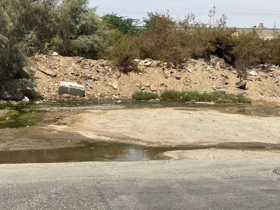 مستنقعات وأشجار وأوساخ وسط الحي (مكة)