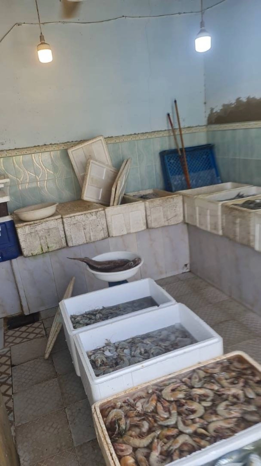 أمانة جدة تتلف 690 كجم من الأسماك الفاسدة بالقوزين جنوب المحافظة