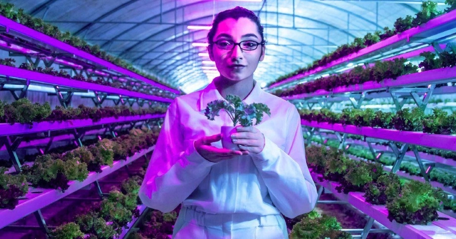 طالبة تجري أبحاثاً في أحد المستنبتات الزجاجية