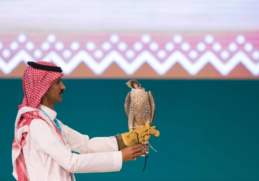 طرح شاهين في 10 دقائق وبيعه بـ 51 ألفاً في مزاد نادي الصقور السعودي