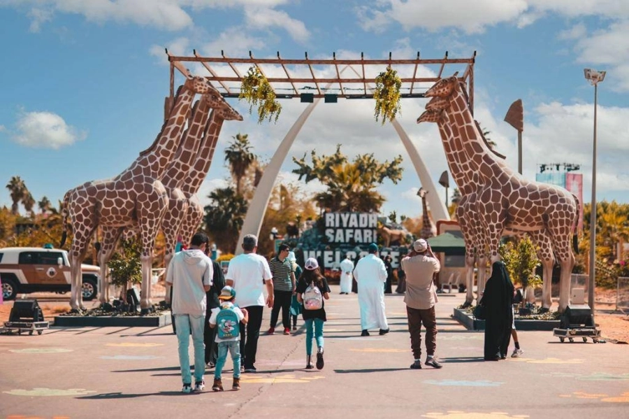 زوار يوثقون جولاتهم بالسفاري   (مكة)