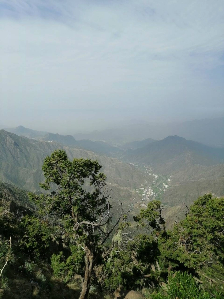 



جبال السودة                (مكة)