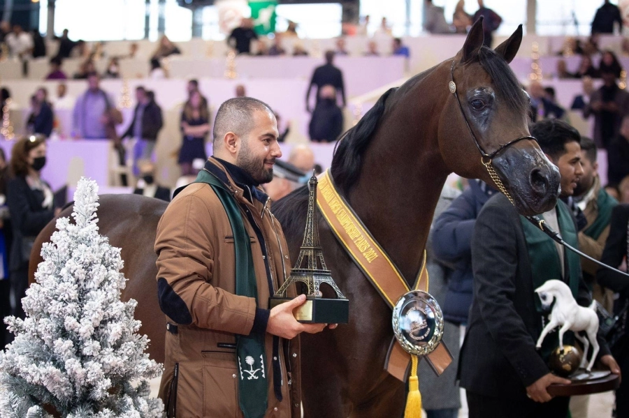 "اكواتور" أضاف إنجازا جديدا للخيول السعودية