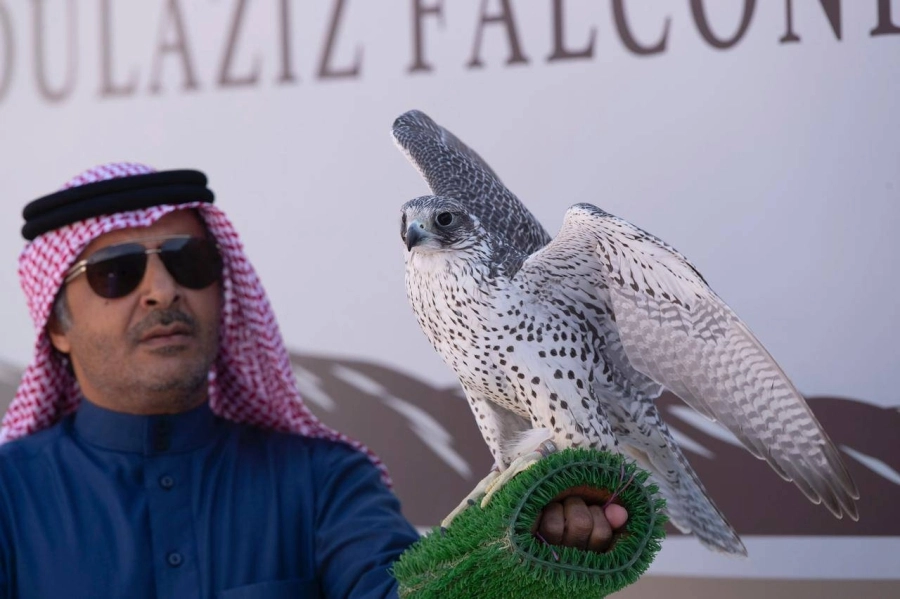 مهرجان الملك عبدالعزيز للصقور يختتم مسابقاته بمشاركة 2110 صقور
